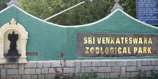 scenic view of Sri Venkateswara National Park